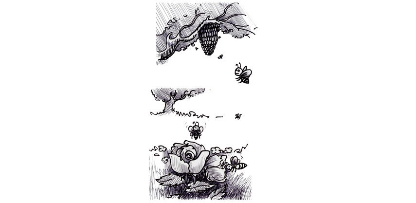 MEETING SOCIAL SECURITY IN APPAREL SECTOR